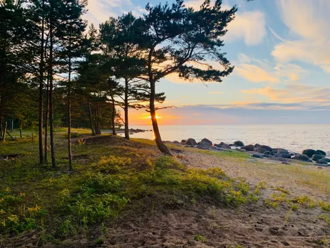 Harjumaa