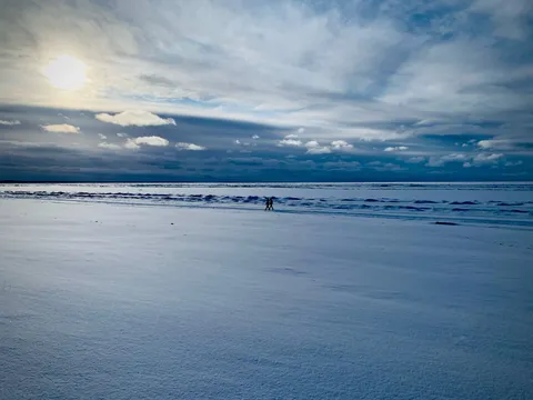Narva-Jõesuu
