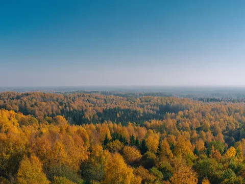 Lõuna-Eesti