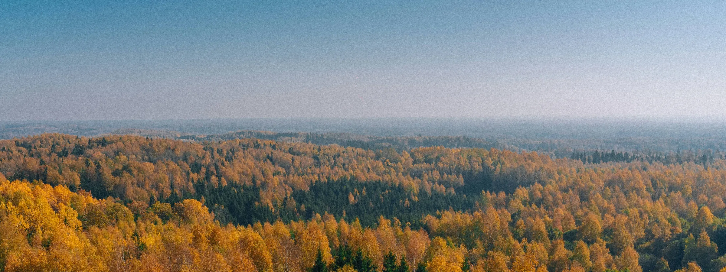 Otepää